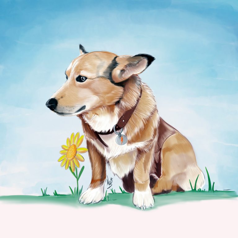 Pawtrait