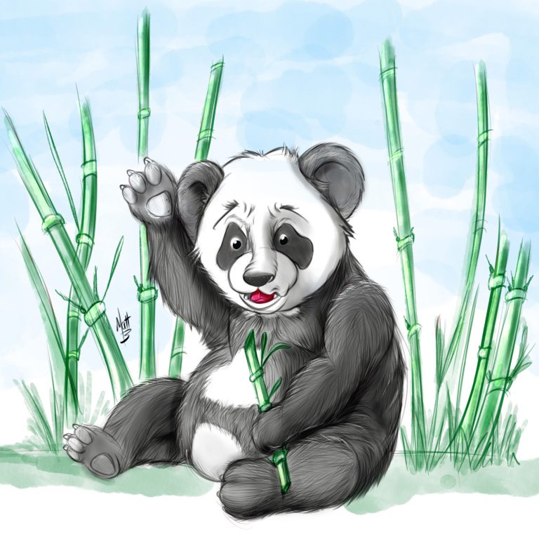 Panda
